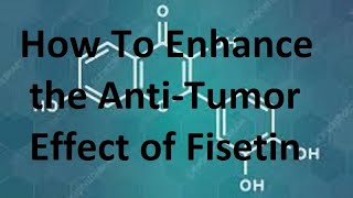 How To Enhance the Anti Tumor Cancer Effect of Fisetin [upl. by Ardnaed]