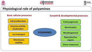 Polyamines [upl. by Phiona]