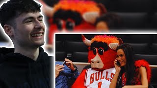 BRITS React to NBA MASCOTS BEING MENACES [upl. by Cale]