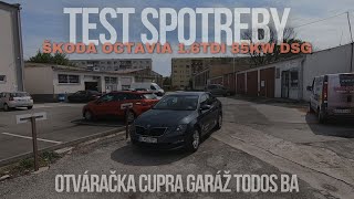 Elektromobily sa môžu schovať  Test spotreby  Otváračka Cupra Garáž Todos [upl. by Onaicram]