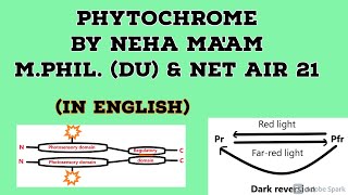 Phytochrome In English  Plant Physiology  CSIR NET Life Sciences [upl. by Perr133]