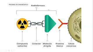 Técnicas de diagnóstico molecular de las enfermedades genéticas 1ra parte [upl. by Nalorac582]