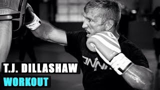 TJ Dillashaw training for UFC 217  Hard Workout [upl. by Refinneg]