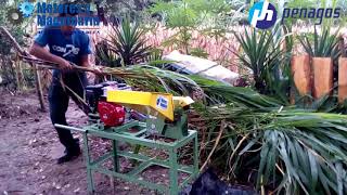 PICADORA DE ZACATE PP 300 CON MOTOR GASOLINA [upl. by Attenweiler]