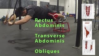 How to  Ab rollout on rings [upl. by Gally]