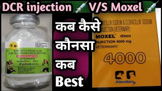 Vet injection 💉 Moxel 💉VS DCR injection Use in Animals कब कैसे कौन सा कब Best [upl. by Oicnerual541]