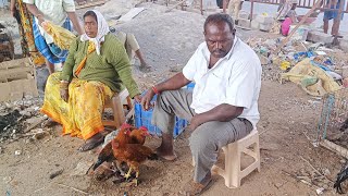 Shamshabad Thursday pets and bird market Hyderabad Telangana 7112024 [upl. by Aikaz412]