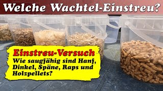 WachtelEinstreuTest  Welche Einstreu für Wachteln und Hühner ist am saugfähigsten [upl. by Onaicilef]