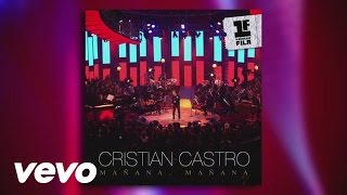 Cristian Castro  Mañana Mañana Cover Audio [upl. by Nessi]