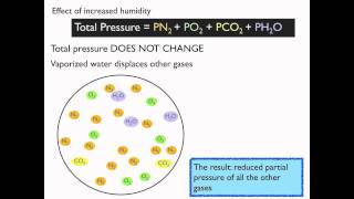 Effect of adding humidity on PO2 [upl. by Snilloc]