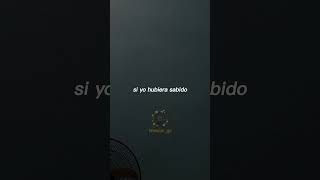 Bad Bunny  Si yo hubiera sabido video lyric [upl. by Annaid]