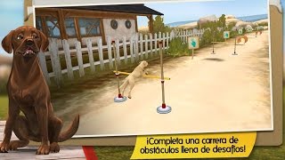 juegos de perros para niños bañar jugar alimentar peinar y educar niños perrosparaniños [upl. by Eiram]