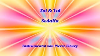 Tol amp Tol  Sedalia  Instrumental von PIERRE FLEURY [upl. by Eves]