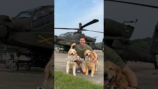 My dogs learn how to fly an Apache helicopter 🚁 [upl. by Albion]