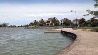 Beautiful fishing spot in mawson Lakes south Australia  Australia [upl. by Vanthe]