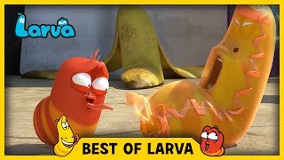 Exclusive  Official LARVA 2D Animatic Storyboard 16 [upl. by Swartz229]