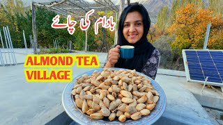 Almond Tea  Daily Lifestyle Vlog  Village  Vlogs New Video [upl. by Etsirk]