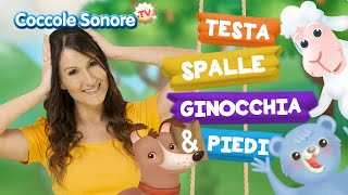 Testa Spalle Ginocchia e Piedi  Balliamo con Greta  Coccole Sonore [upl. by Anej15]