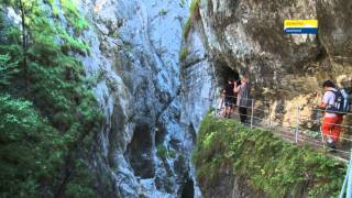 Alpbachtal Seenland Wandern [upl. by Auhsaj411]