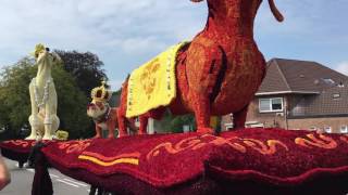 Bloemencorso Lichtenvoorde 2016 Lansink Bluiminck  Opgedoft [upl. by Miharba]