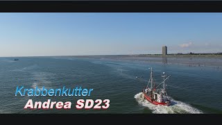 Krabbenkutter Andrea SD 23 Büsum auf Fangfahrt [upl. by Bickart254]