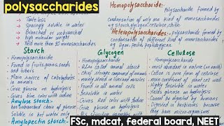 polysaccharides  polysaccharides class 11  polysaccharides structure and function [upl. by Eldridge]