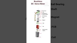 Brushless DC motor parts name shorts brushlessdcmotor rahulkielectronic [upl. by Milburn869]