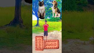 Kutta billi kharagosh bakari vfx funny video 😄shorts video [upl. by Ehudd72]