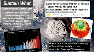 Exploring Research Forecasting Years of Weather Impacts from the Massive Tonga Eruption [upl. by Etnom]