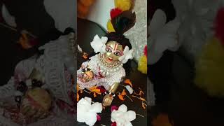 shri vrindavan bihari❤️☺️ Radhe Radhe Priya bhakton please Subscribe 🙏🥺 [upl. by Vitoria]