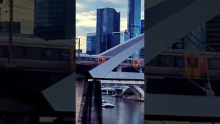 Train on Merivale Bridge Brisbane🚆 travel trains queenslandrail railway brisbanecity shorts [upl. by Yauqram156]