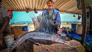 Sailfish Can Swim at the Speed of 109 Km  Indo Pacific 5kg Sailfish Fastest Fish Cutting Skills [upl. by Mastat]