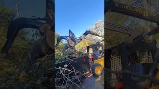 Skid steer vs BIG logs newholland [upl. by Retswerb]