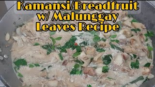 Ginataang KamansiBreadFruit with MalunggayMoringa Leaves Recipe  JES PERL [upl. by Divadnoj]