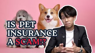 Is Pet Insurance a SCAM Pet Insurance Tips Singapore [upl. by Inaleon]