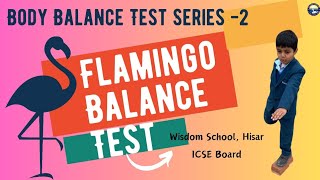 Flamingo Balance Test  detailed sports  wisdomschoolhisar happykids detailing hisar [upl. by Tybalt]