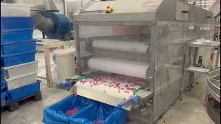 Candy Confectionery Cooling Conveyor Tunnel [upl. by Damita]