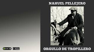 Nahuel Pellejero Orgullo de Tropillero [upl. by Rurik644]