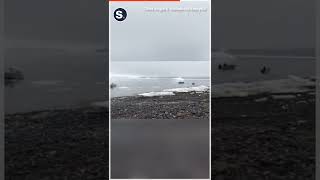 Video Captures Moment When Tsunami Hits Greenlands West Coast [upl. by Chiarra702]