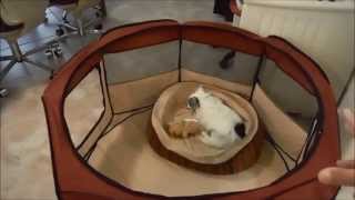 The Easy Way to Fold Pet Playpen  Portable Fabric Crate [upl. by Eenattirb]