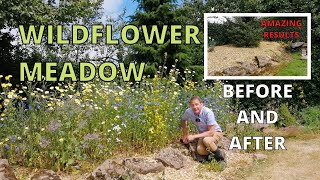 Wildflower Meadow How to create a wildflower meadow for bees [upl. by Gnah]