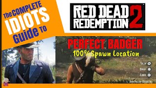 100 Spawn PERFECT BADGER PELT  Idiots Guide to RDR2 [upl. by Eveline]