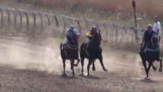 Carrera en Hipódromo Gral Madariaga  Paso de los Libres 03072016 [upl. by Ahsemo]