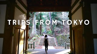 Hidden Spots Near Hakone People Miss [upl. by Acinorrev]