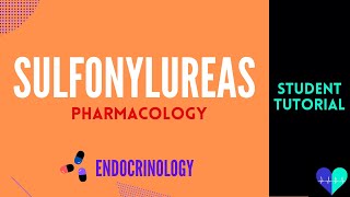 Sulfonylureas  Medical Tutorial [upl. by Bess212]