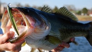 Winter Jerkbait Fishing Pro Tips for Catching Largemouth Bass at Lake Fork [upl. by Htebzil826]