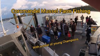 Coromandel Mussel Farm Fishing with a bunch of young Champions [upl. by Drofnats]