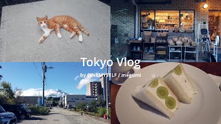 Vlog  つばきファクトリー灼熱に参戦  代官山でショッピング  Hedy  Gucci  母親とデート  Allegory Home Tools [upl. by Snehpets]