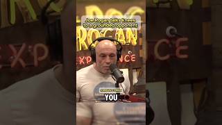 Joe Rogan “The knee aljo hit Petr Yan with SHOULD be legal” joerogan petryan ufc mma ufc308 [upl. by Elaine]