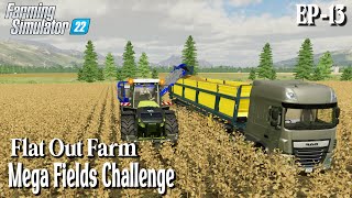 preparing field for next crops in future  Farming Simulator22  Flatout Farm  fs22timelapse [upl. by Nochur968]